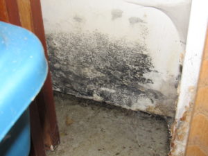 Air Quality Mold and Asbestos Testing