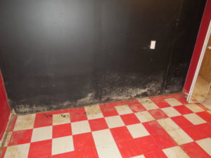 Air Quality Mold and Asbestos Testing2